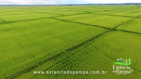 DOS EÓLICOS VIRA P FAZENDA_Moment.00_02_37_09.Quadro063_3fbbc17bee1584201e7bb74300cc21b6f6d71d93.png